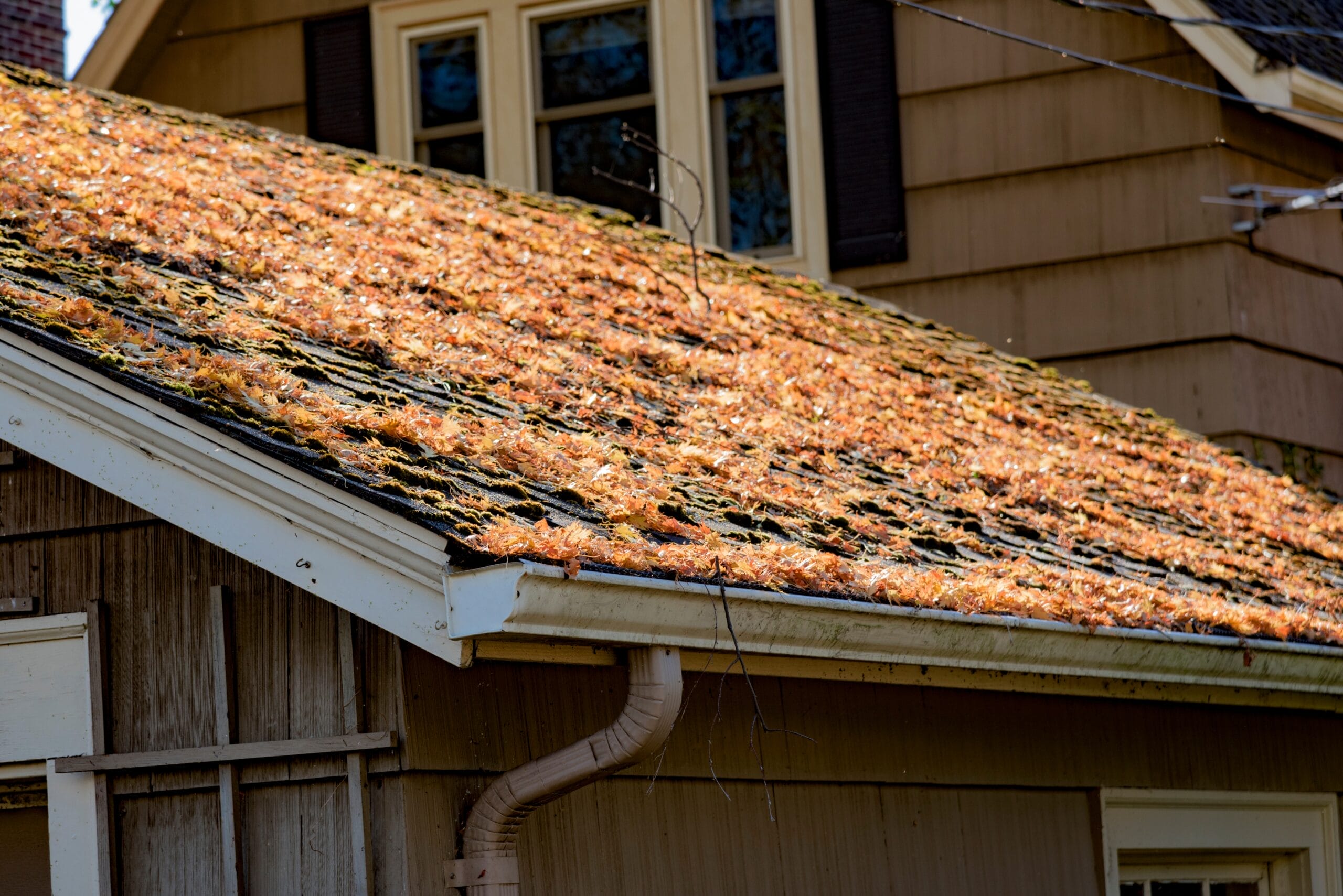 spring roof problems, spring roof damage, Joliet